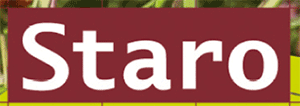 staro-banner